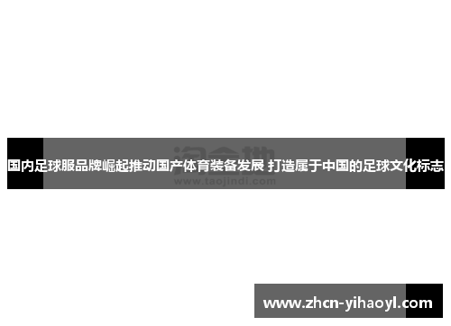 国内足球服品牌崛起推动国产体育装备发展 打造属于中国的足球文化标志