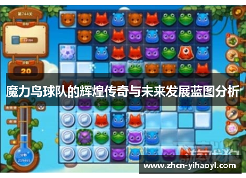 魔力鸟球队的辉煌传奇与未来发展蓝图分析